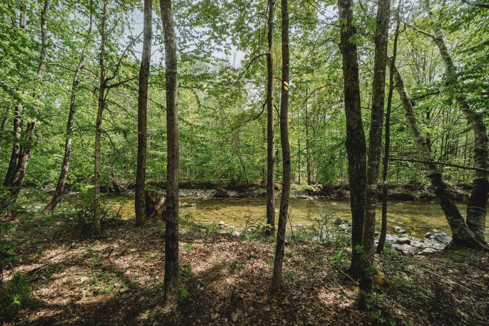 Lumen Nature Retreat Woodstock Room photo